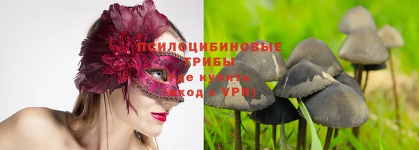 мескалин Аркадак