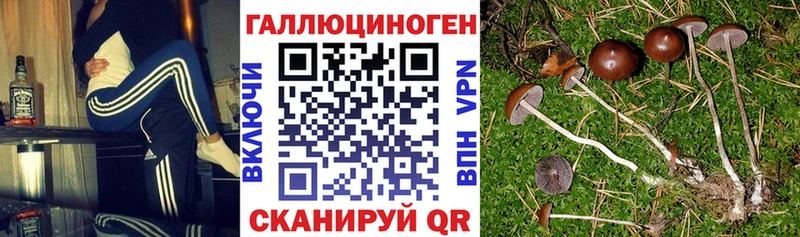 Галлюциногенные грибы мицелий  KRAKEN tor  Мураши 